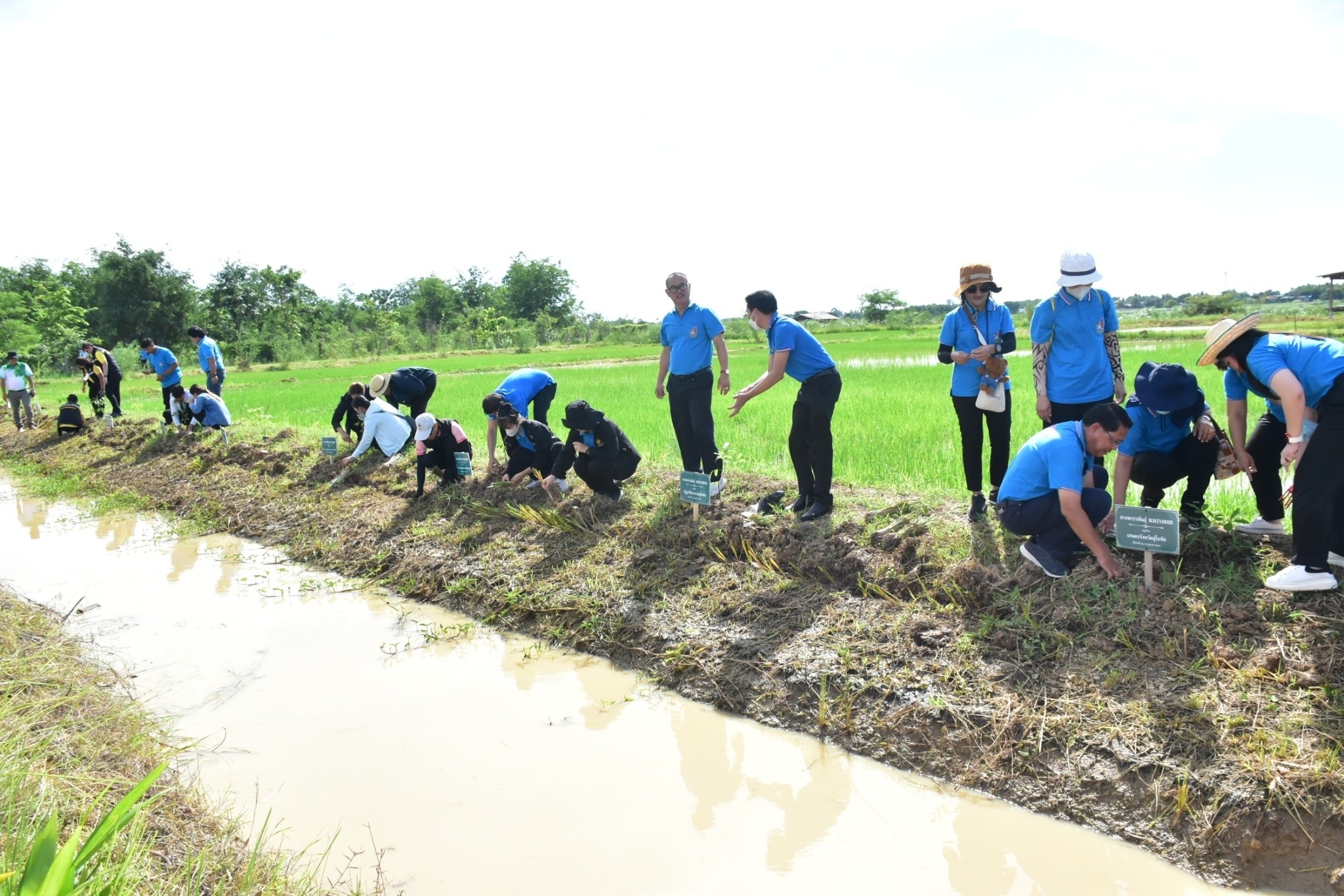 title - กิจกรรมวันต้นไม้ประจำปีของชาติ พ.ศ.2566